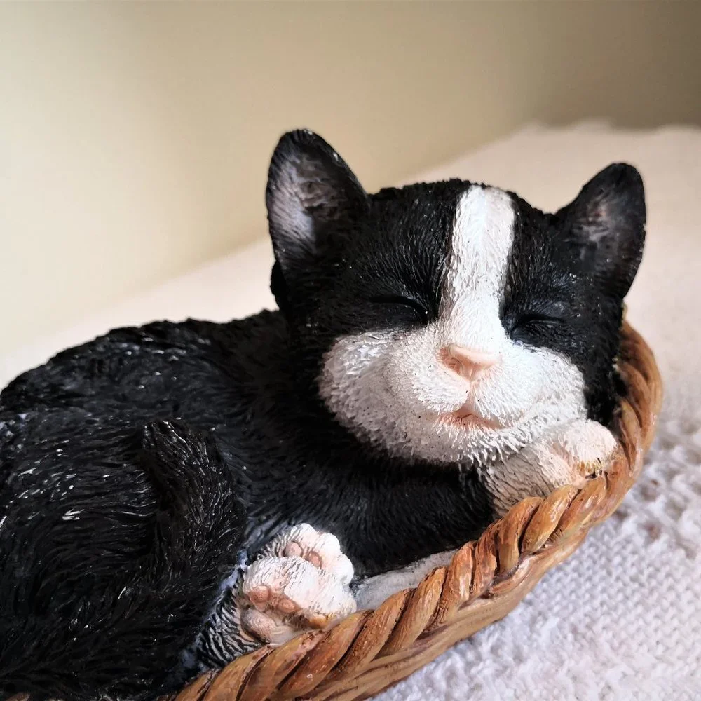 Cute Sleeping‎ Cat in Basket